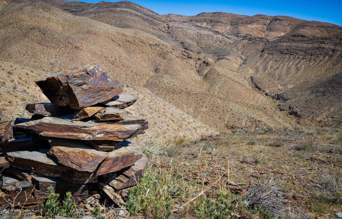 A small stack of flat, rust-brown rocks on a grassy slope in the foreground, above a deep desert canyon between bare brown ridges under a blue sky.